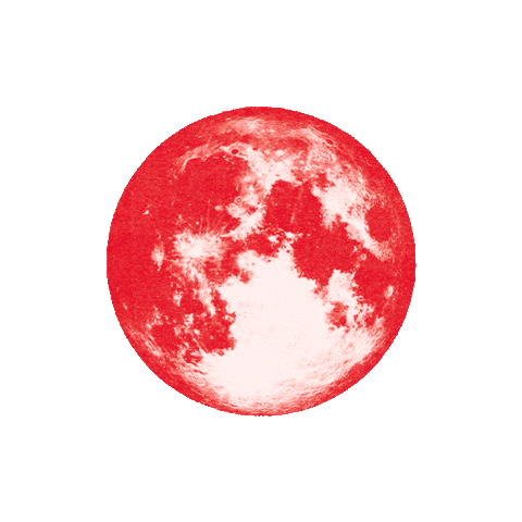 Pressure Sticker by Thekla Bristol