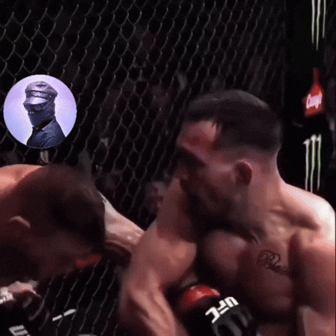 Ufc Mma GIF