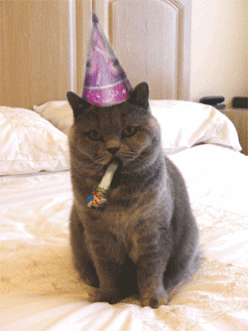 È il giorno in cui è stata inventata la GIF Invia un augurio di compleanno