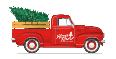 Christmas Tree Sticker by Hayes Farms