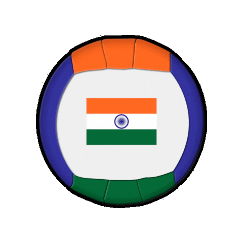 Ball India Sticker by Swiss Dodgeball