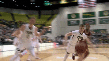 Diving Gotribe GIF by William & Mary Tribe Athletics