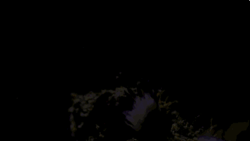 sea sponge moving gif
