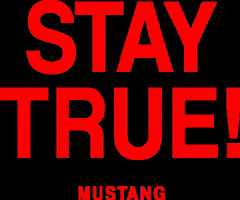 MUSTANG Jeans GIF