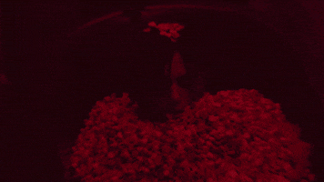 Heart Drown GIF by Crimson Apple