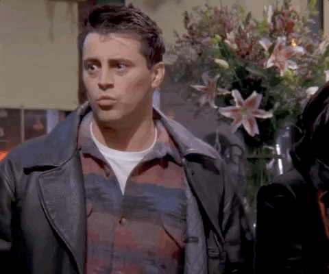 joey-friends-hidding