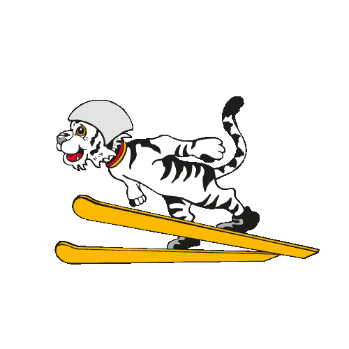 DSV - Deutscher Skiverband Sticker