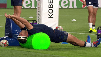 GIF by Rugby World Cup