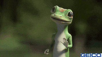 200.gif?cid=fc005b088a1ae48a23f919f285ac4894d92691005887cac1&rid=200.gif&ct=g