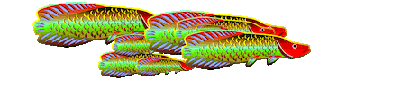 Fish Pez Sticker by CATALINA ESTRADA
