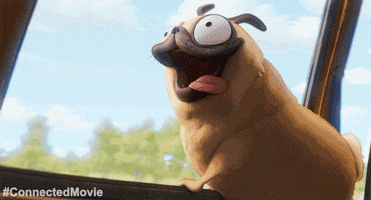 Happy Dog GIF by CONNECTED