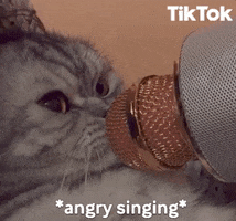 Angry Cat GIF by TikTok