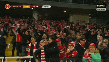 Football Soccer GIF by FC Spartak Moscow