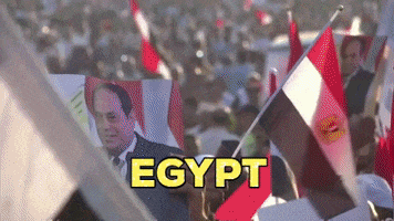 Egypt Sisi GIF by TV7 ISRAEL NEWS