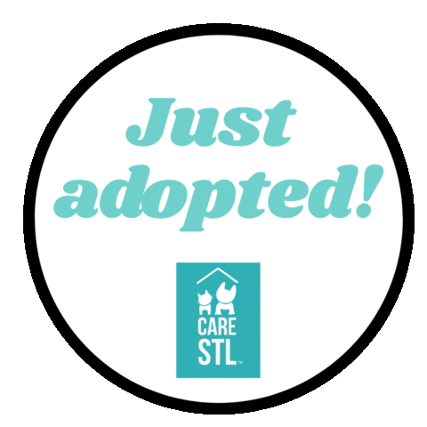 CARE STL Sticker