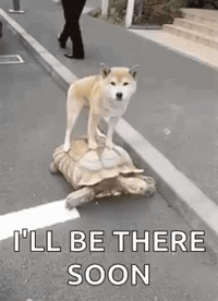 Wait Till You See It GIFs - Get the best GIF on GIPHY