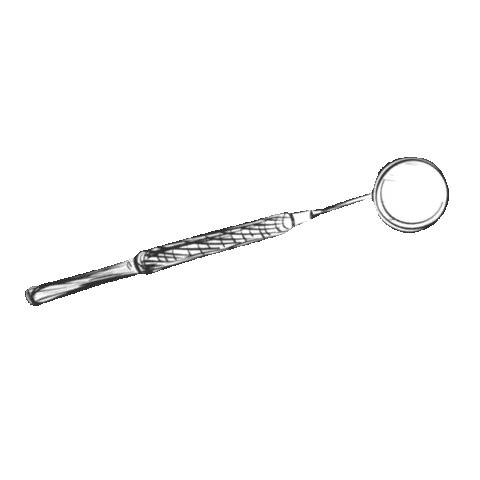 Fmdul Sticker by JornadasFMDUL