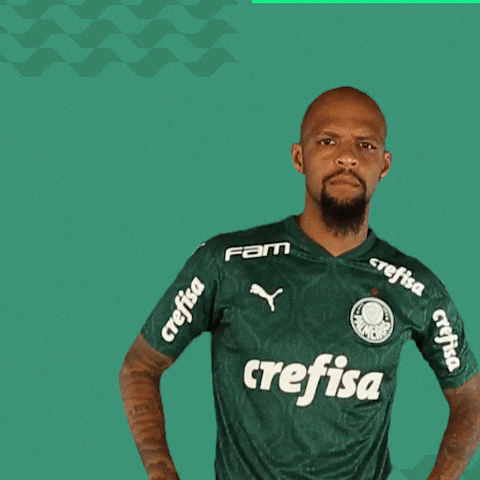 Cara Pitbull GIF by SE Palmeiras