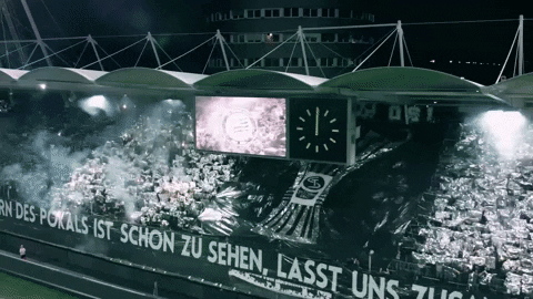 Fans Sturmgraz GIF by SK Sturm - Fans Sturmgraz GIF by SK Sturm