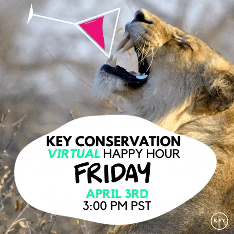 Keyapp GIF by Key Conservation