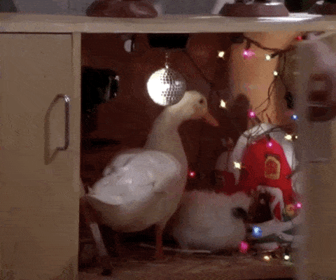Season 4 Chick And Duck GIF by Friends - Find & Share on GIPHY
