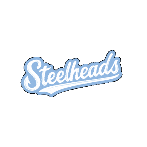 Allamericansteelheads Sticker by All American Baseball