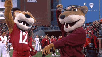 Wsu Cougars Dancing GIF by Pac-12 Network