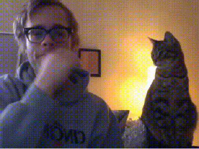 Interspecies GIF - Find & Share on GIPHY