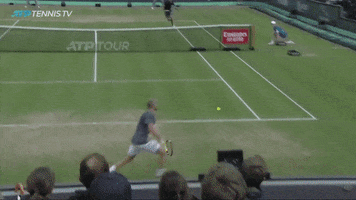 pick up class GIF by Tennis TV