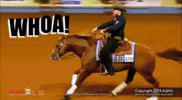 Reining World Champion GIF by Silver Spurs Equine
