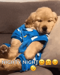 Good Night Moon Gifs Get The Best Gif On Giphy Good Night Moon Gifs Get The Best Gif On Giphy
