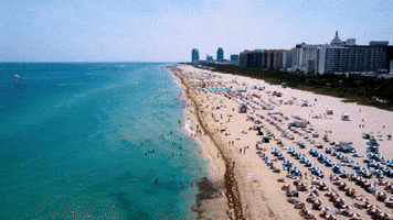 Miami Beach GIF by ATLAST