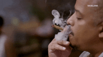 weed yes GIF by Bong Appétit