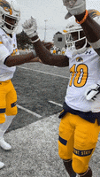 Kent State GIF by Kent State Football