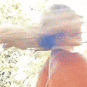 giphy.gif?cid=4d1e4f29c17b5ef743f76df93d