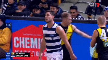 Geelong Cats GIF by AFL