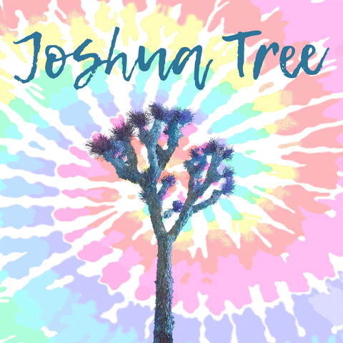 Joshua Tree Animation GIF by Tom Windeknecht