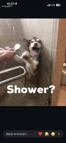 Dog Shower GIF