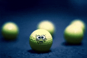 Spongebob Niche GIF