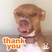 ▷ Thank You: Animated Images, Gifs, Pictures & Animations - 100% FREE!
