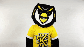 Who Knows Shrug GIF by Kennesaw State University