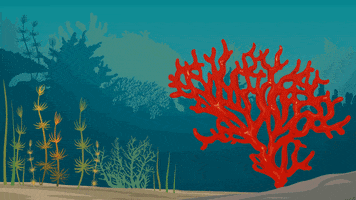 Climate Change Water GIF by PBS Digital Studios