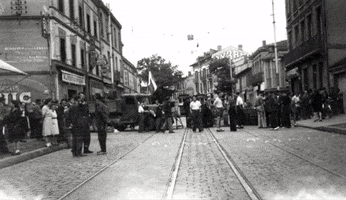 Toulouse GIF