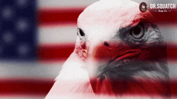 4Th Of July America GIF by DrSquatchSoapCo