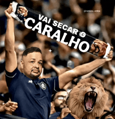Marcellosuisser GIF