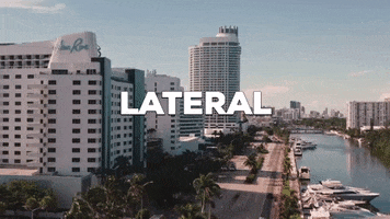 Dron GIF
