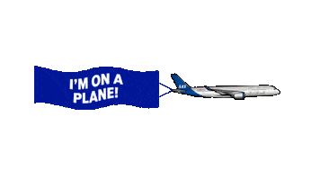 Travel Flying Sticker by Scandinavian Airlines Systems