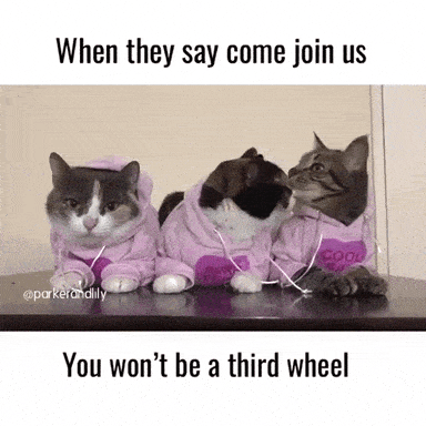 third-wheeled meme gif