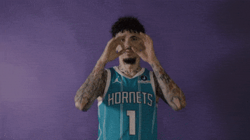 Lamelo Ball Basketball GIF by Charlotte Hornets
