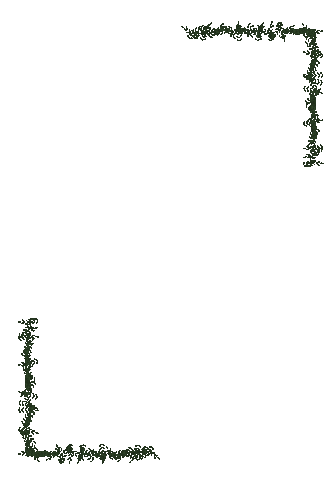 Illustration Sticker